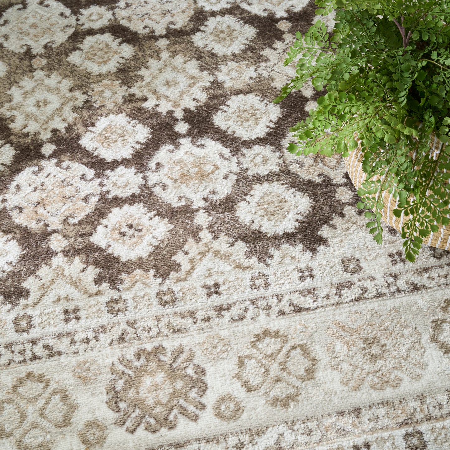 Beige & brown oriental rug with floral medallions & a textured tufted pile, next to a wicker basket with a green fern.