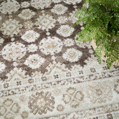 Beige & brown oriental rug with floral medallions & a textured tufted pile, next to a wicker basket with a green fern.