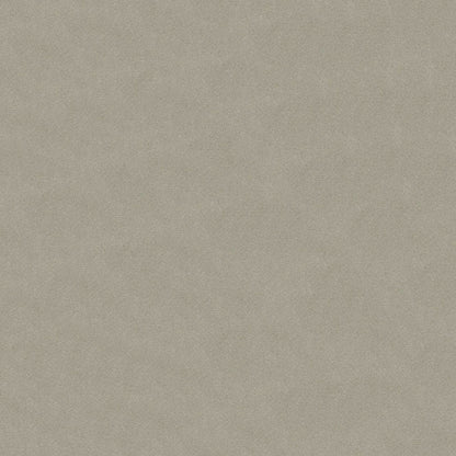 Beige solid fabric with subtle texture and soft, neutral tones.