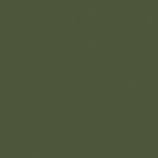 NICHOLASJOHN INC NJ-NAU Green Solid   Fabric - NJ25-2388