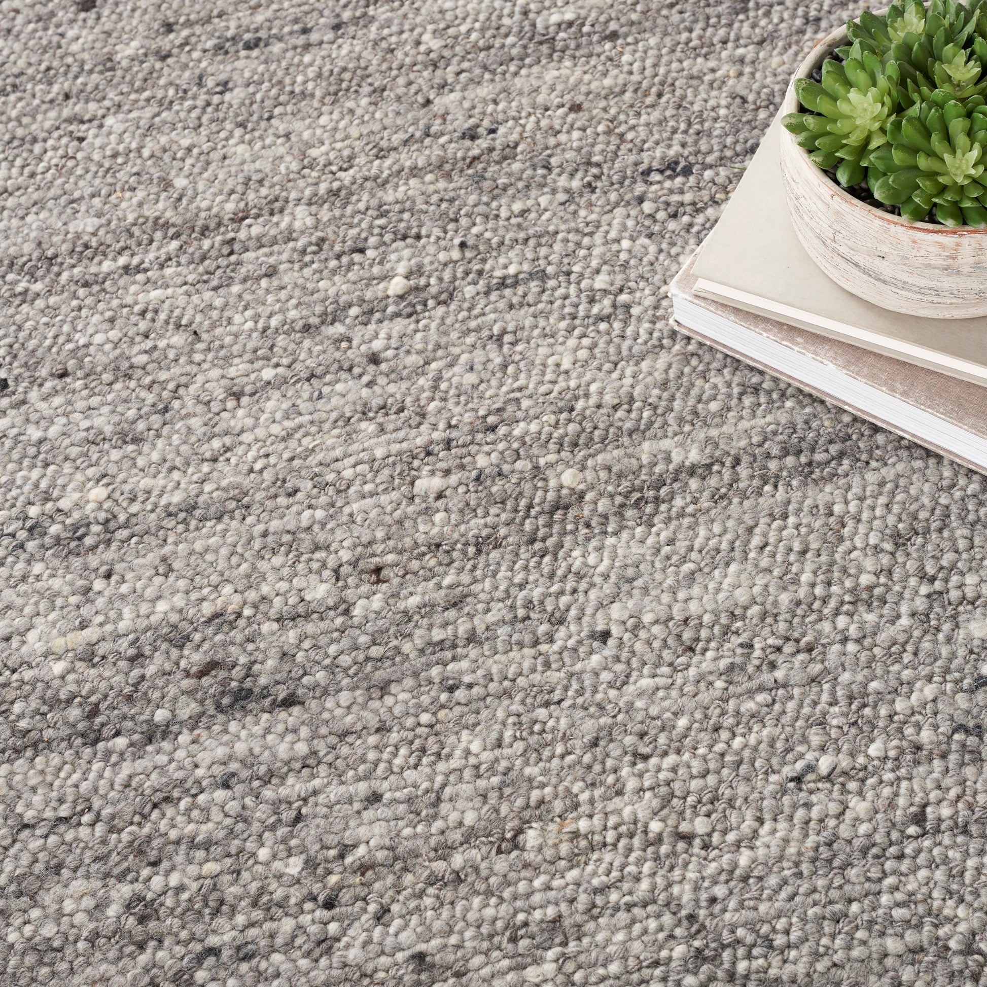 Gray boucle rug with speckled texture, stacked books topped by a small round planter with a green succulent.
