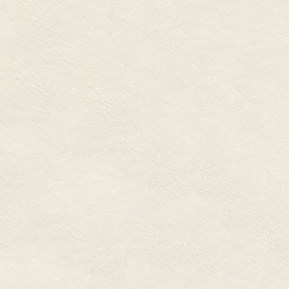 NICHOLASJOHN INC NJ-LUNN White Solid   Fabric - NJ25-2019