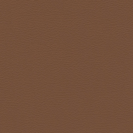 NICHOLASJOHN INC NJ-NUU Brown Solid   Fabric - NJ25-2439