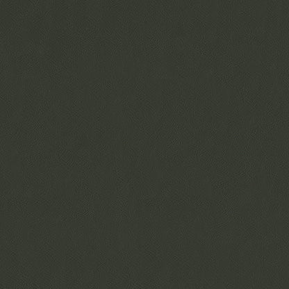 NICHOLASJOHN INC NJ-SENTRY Chinchilla Solid,Texture   Fabric - NJ25-600