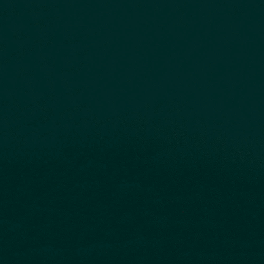 NICHOLASJOHN INC NJ-ZANDI Green Solid   Fabric - NJ25-3855