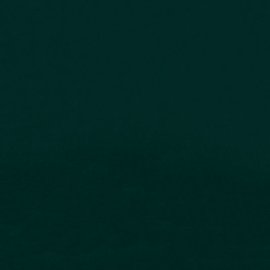 NICHOLASJOHN INC NJ-ZANDI Green Solid   Fabric - NJ25-3855