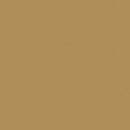 Solid warm tan beige color swatch with smooth matte finish.
