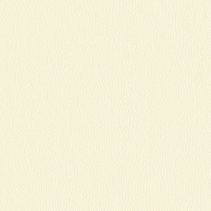 NICHOLASJOHN INC NJ-KENDRICK Vanilla Solid,Texture   Fabric - NJ25-2699