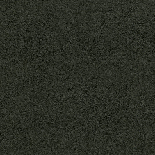 NICHOLASJOHN INC NJ-SENTRY Charcoal Solid,Texture   Fabric - NJ25-604