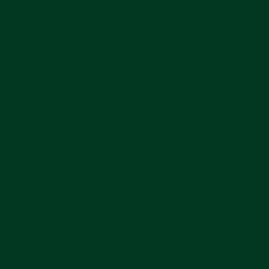 NICHOLASJOHN INC NJ-COCO Green Solid   Fabric - NJ25-3130