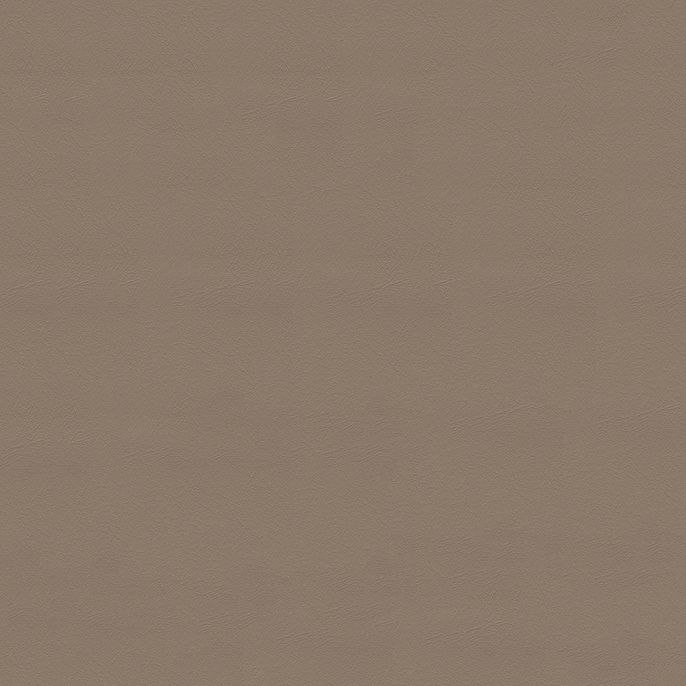 NICHOLASJOHN INC NJ-CARLO Brown Solid   Fabric - NJ25-2308