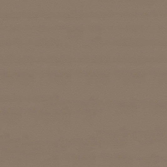 NICHOLASJOHN INC NJ-CARLO Brown Solid   Fabric - NJ25-2308