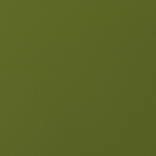 NICHOLASJOHN INC NJ-HEWITT Kiwi Solid   Fabric - NJ25-1177