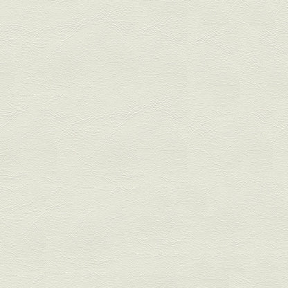 NICHOLASJOHN INC NJ-MARIAH Off White Solid   Fabric - NJ25-2201