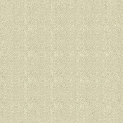 NICHOLASJOHN INC NJ-SHH Cream Solid   Fabric - NJ25-3678