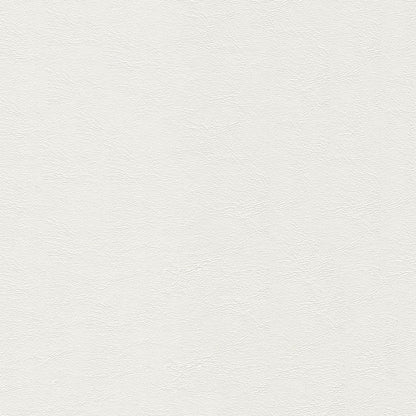 NICHOLASJOHN INC NJ-MARIAH Mystic White Solid   Fabric - NJ25-2199