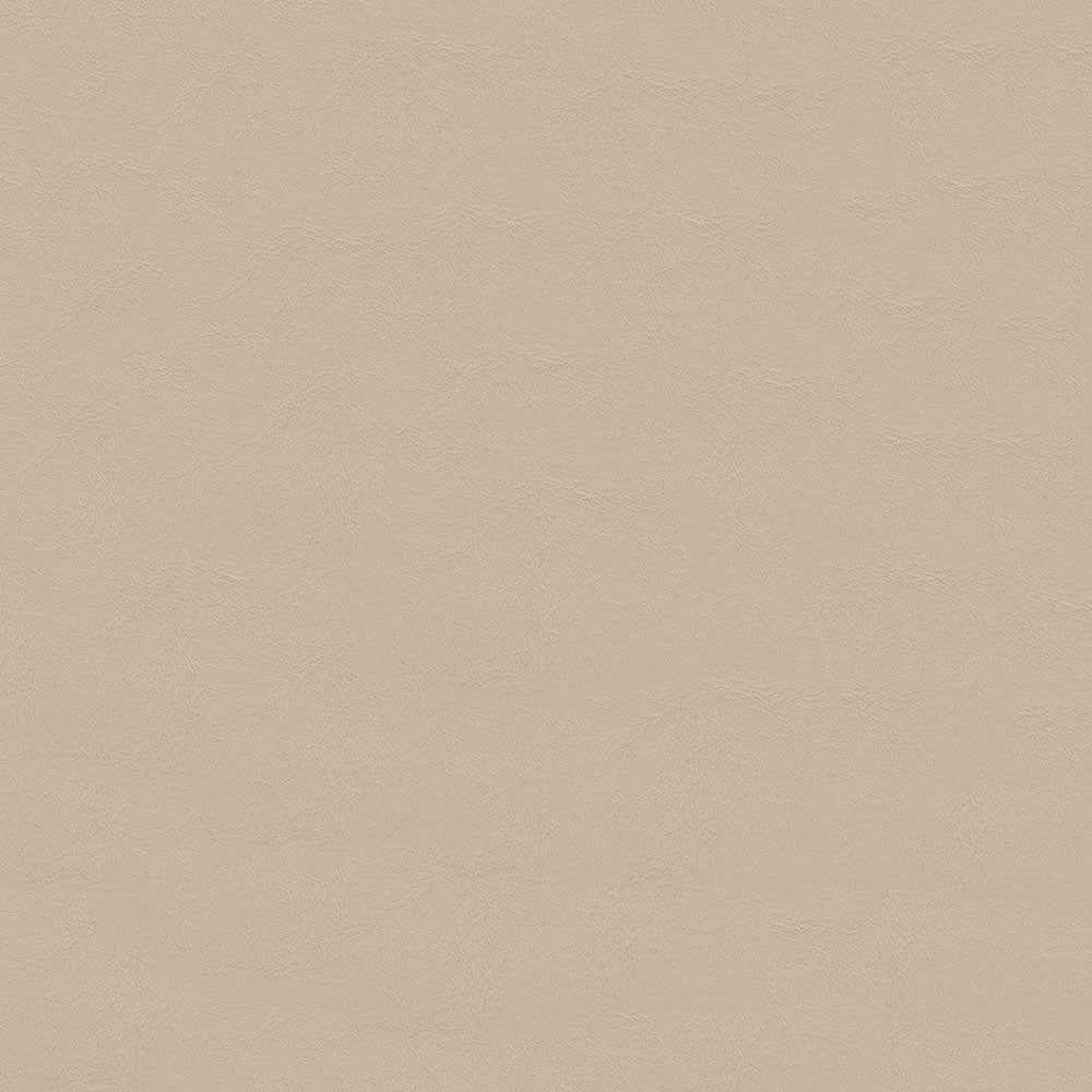 NICHOLASJOHN INC NJ-ZANDI Beige Solid   Fabric - NJ25-3840