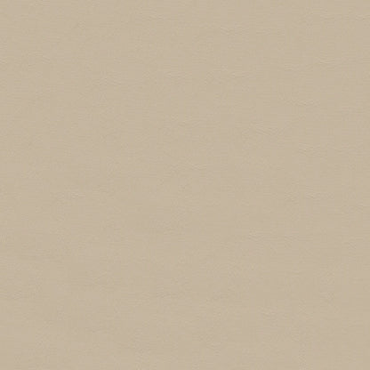 NICHOLASJOHN INC NJ-ZANDI Beige Solid   Fabric - NJ25-3840