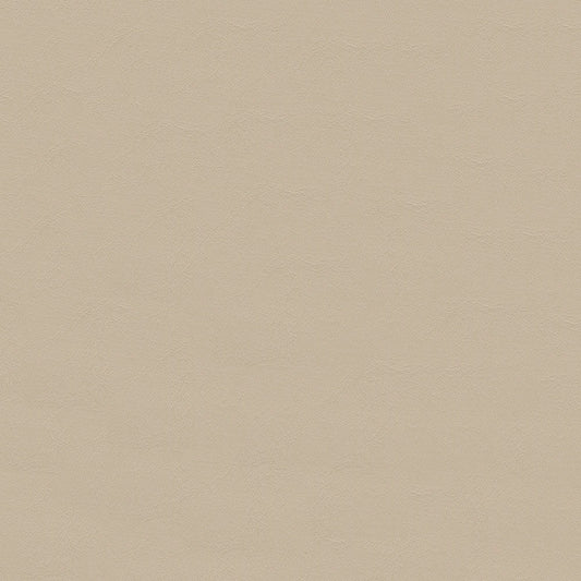 NICHOLASJOHN INC NJ-ZANDI Beige Solid   Fabric - NJ25-3840