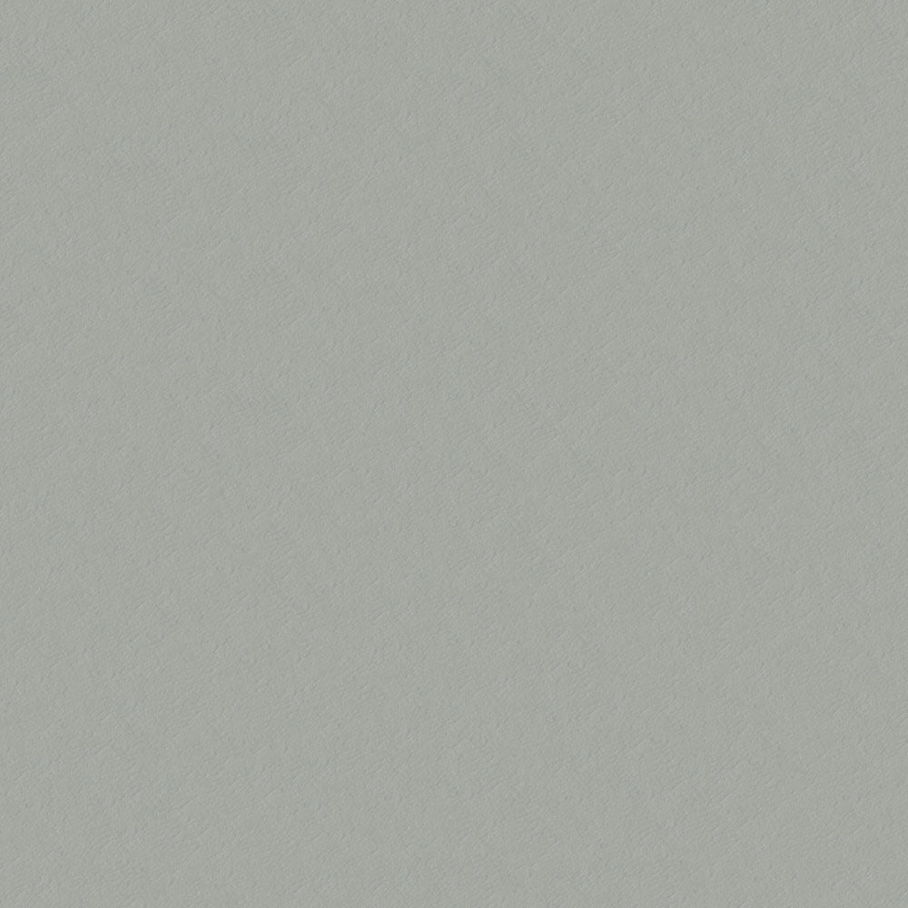 NICHOLASJOHN INC NJ-CAPO Gray Solid   Fabric - NJ25-484