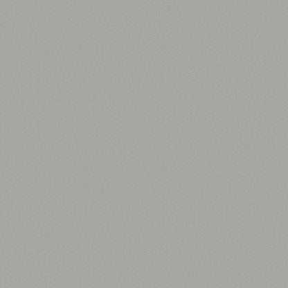 NICHOLASJOHN INC NJ-CAPO Gray Solid   Fabric - NJ25-484