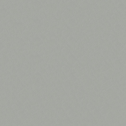 NICHOLASJOHN INC NJ-CAPO Gray Solid   Fabric - NJ25-484