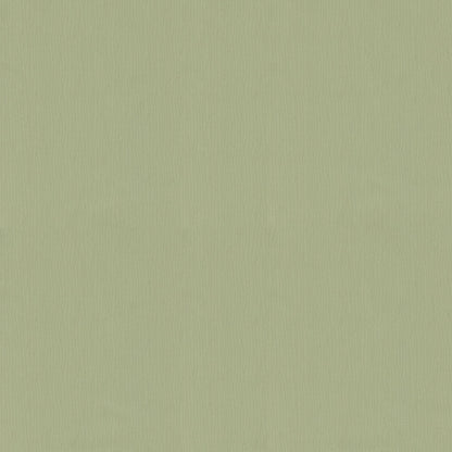 NICHOLASJOHN INC NJ-SEINE Sage Texture,Contemporary,Organic   Fabric - NJ25-927