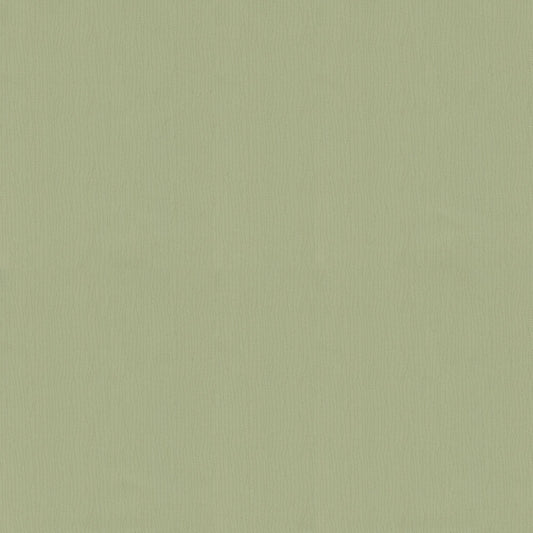NICHOLASJOHN INC NJ-SEINE Sage Texture,Contemporary,Organic   Fabric - NJ25-927