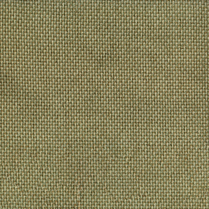 NICHOLASJOHN INC NJ-RIOT Lichen Solid   Fabric - NJ25-2797