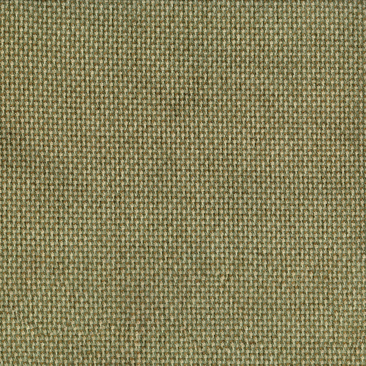 NICHOLASJOHN INC NJ-RIOT Lichen Solid   Fabric - NJ25-2797