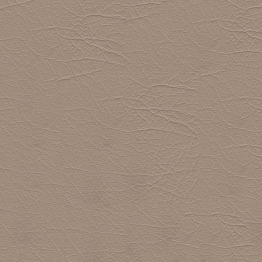 NICHOLASJOHN INC NJ-AREES Brown Solid   Fabric - NJ25-140