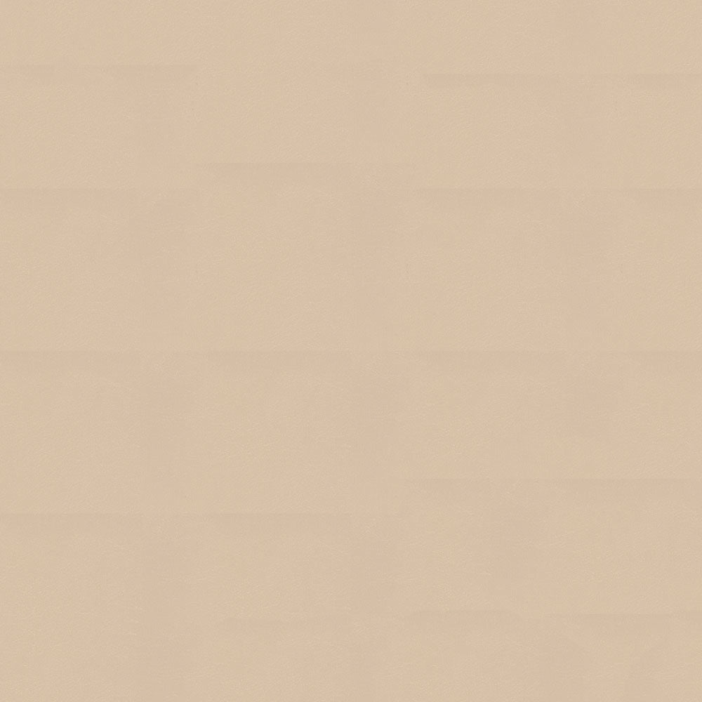 NICHOLASJOHN INC NJ-NAU Beige    Fabric - NJ25-2395