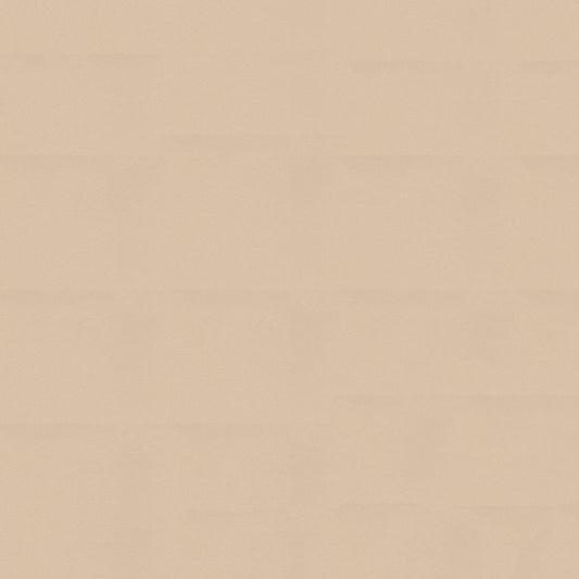 NICHOLASJOHN INC NJ-NAU Beige    Fabric - NJ25-2395