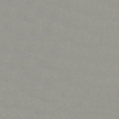 Light gray solid fabric texture, soft and versatile for clothing or upholstery.