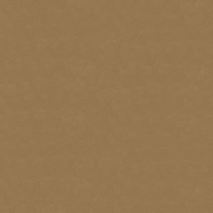 NICHOLASJOHN INC NJ-RADE Beige Solid   Fabric - NJ25-3473