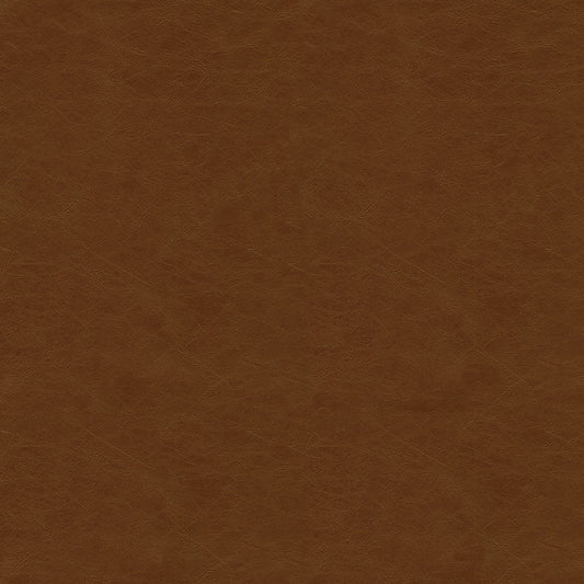 NICHOLASJOHN INC NJ-DEW Russet Solid,Texture,Rustic   Fabric - NJ25-1391