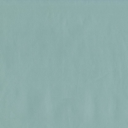 NICHOLASJOHN INC NJ-SENTRY Spa Solid,Texture   Fabric - NJ25-577