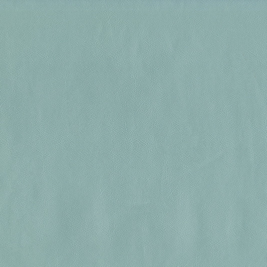 NICHOLASJOHN INC NJ-SENTRY Spa Solid,Texture   Fabric - NJ25-577