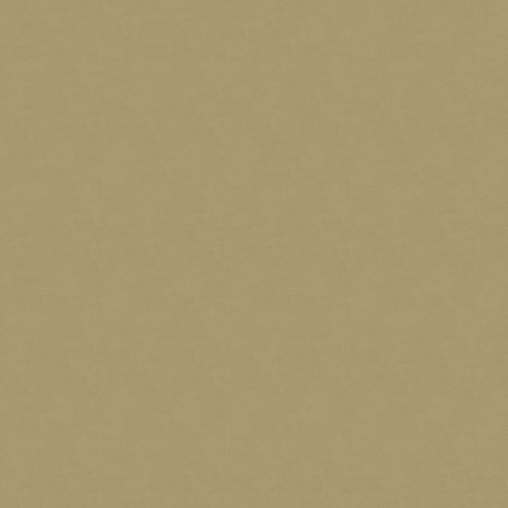 Kraft brown cardboard texture, flat surface with subtle fibrous specks.