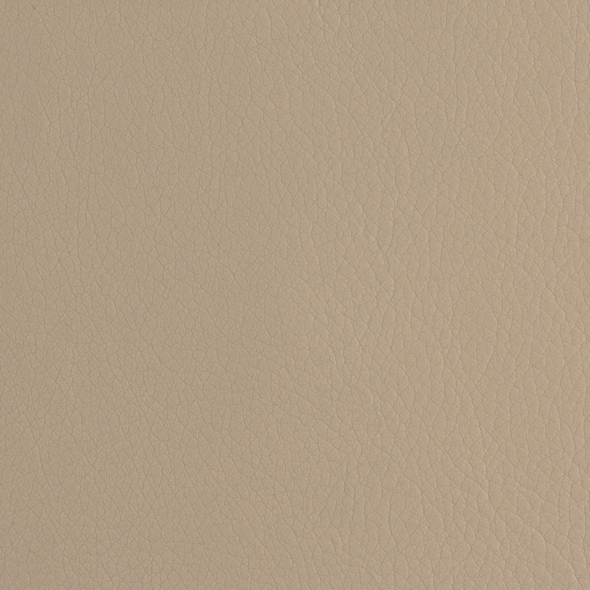 Beige mushroom solid fabric close-up with a fine weave and warm, soft tone.