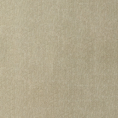 NICHOLASJOHN INC NJ-PARTNER Birch Solid,Texture   Fabric - NJ25-669
