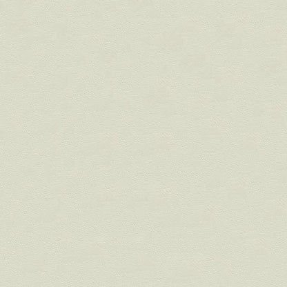 NICHOLASJOHN INC NJ-RADE White Solid   Fabric - NJ25-3455