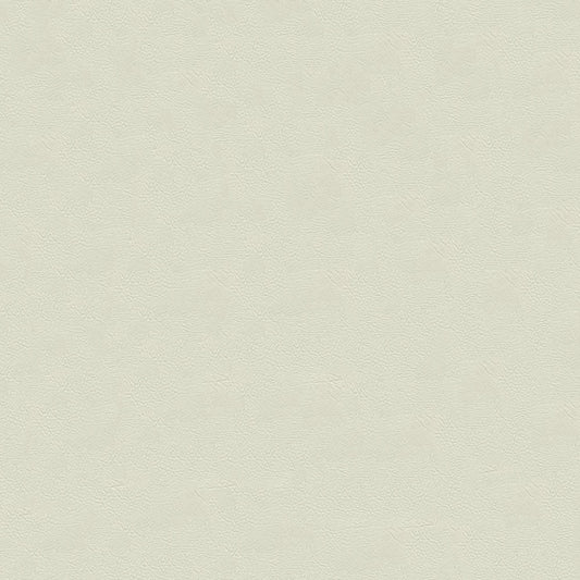 NICHOLASJOHN INC NJ-RADE White Solid   Fabric - NJ25-3455