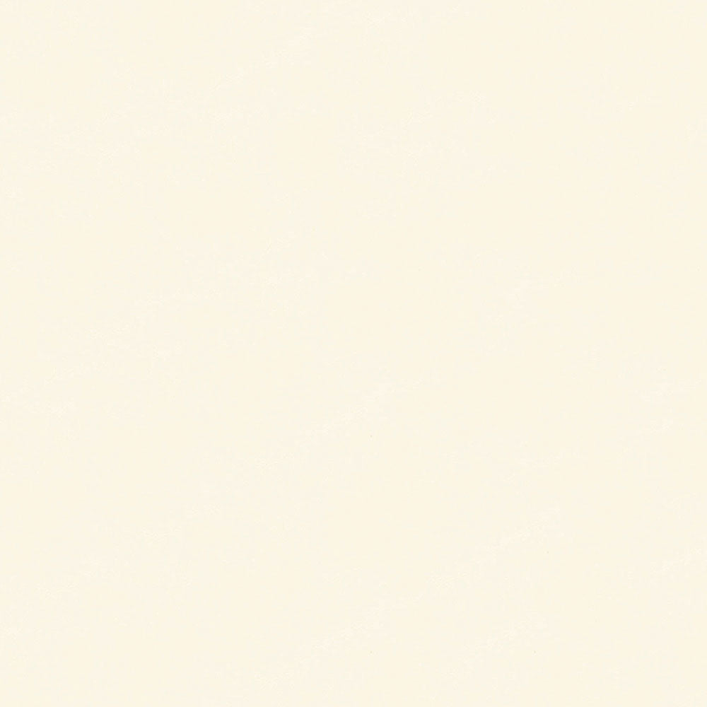 NICHOLASJOHN INC NJ-HOCK White Solid   Fabric - NJ25-1779