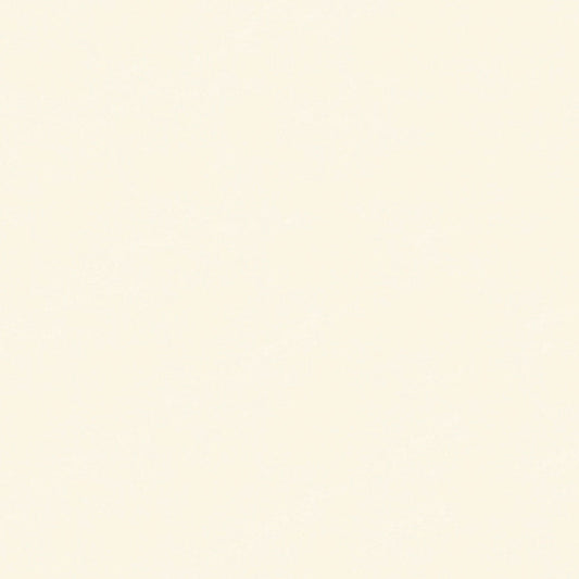 NICHOLASJOHN INC NJ-HOCK White Solid   Fabric - NJ25-1779