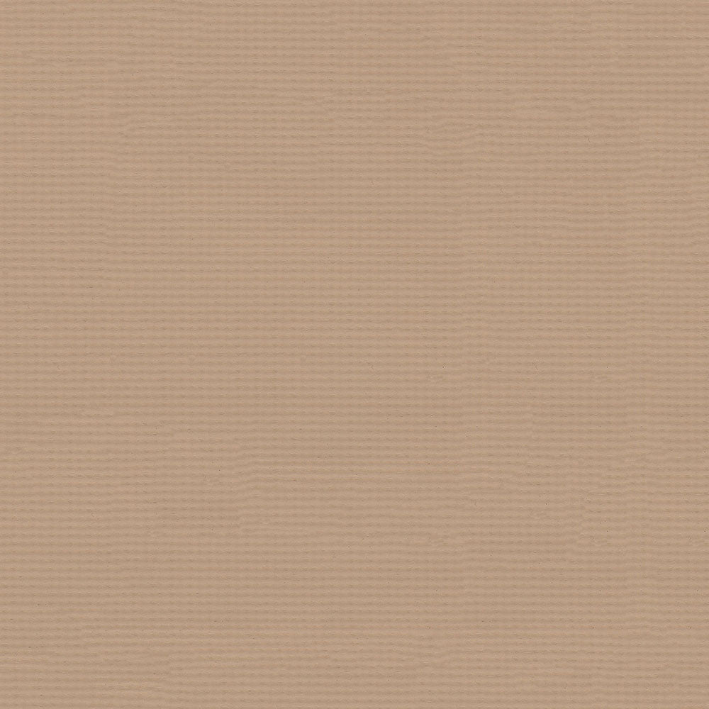 NICHOLASJOHN INC NJ-FLEX Beige Solid   Fabric - NJ25-1630