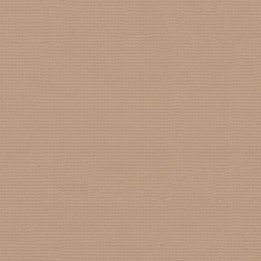 NICHOLASJOHN INC NJ-FLEX Beige Solid   Fabric - NJ25-1630
