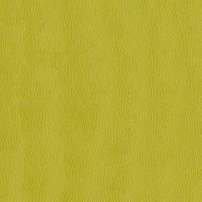 NICHOLASJOHN INC NJ-KENDRICK Citron Solid,Texture   Fabric - NJ25-2695