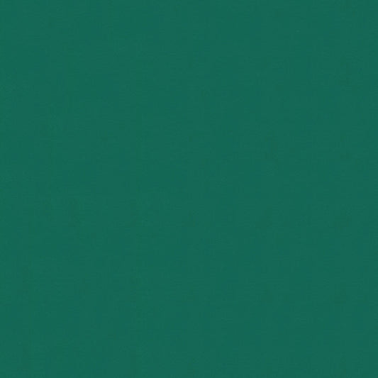 NICHOLASJOHN INC NJ-WINDOO Green Solid   Fabric - NJ25-3747