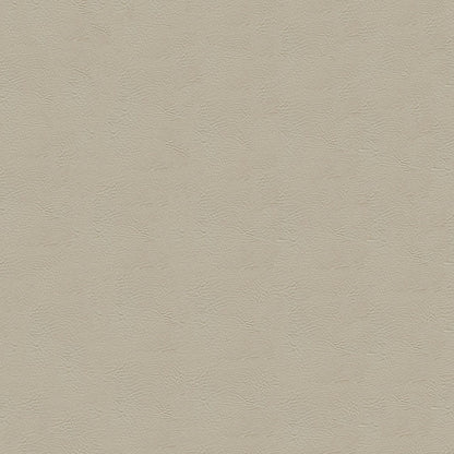 NICHOLASJOHN INC NJ-RADE Beige Solid   Fabric - NJ25-3453